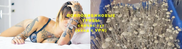 mix Аркадак