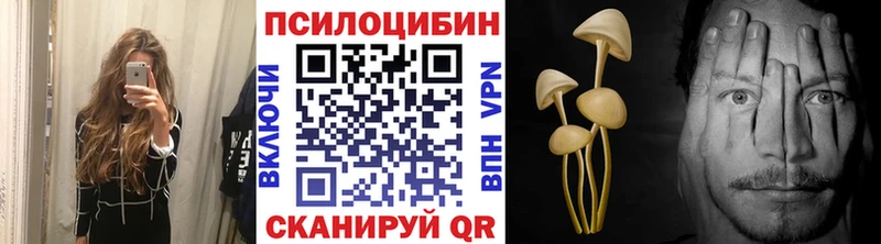 Галлюциногенные грибы Psilocybine cubensis  Белебей 